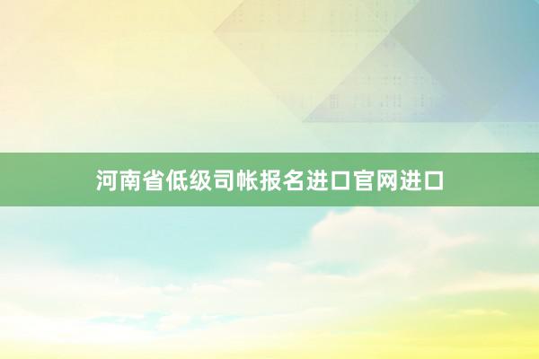 河南省低级司帐报名进口官网进口